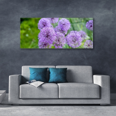 Quadro su vetro acrilico Fiori viola del prato