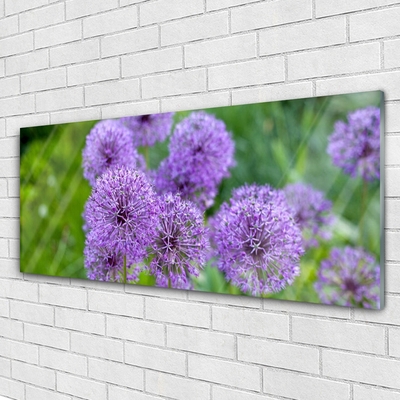 Quadro su vetro acrilico Fiori viola del prato