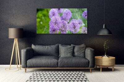 Quadro su vetro acrilico Fiori viola del prato