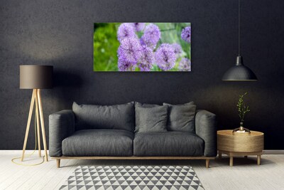 Quadro su vetro acrilico Fiori viola del prato