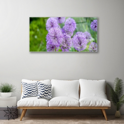 Quadro su vetro acrilico Fiori viola del prato