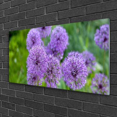 Quadro su vetro acrilico Fiori viola del prato