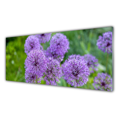 Quadro su vetro acrilico Fiori viola del prato