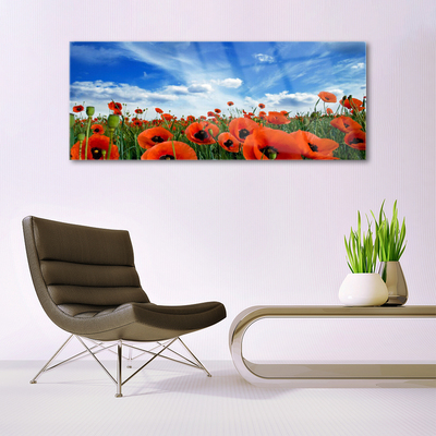 Quadro su vetro acrilico Fiori di papaveri di prato