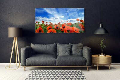 Quadro su vetro acrilico Fiori di papaveri di prato