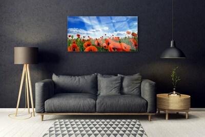 Quadro su vetro acrilico Fiori di papaveri di prato