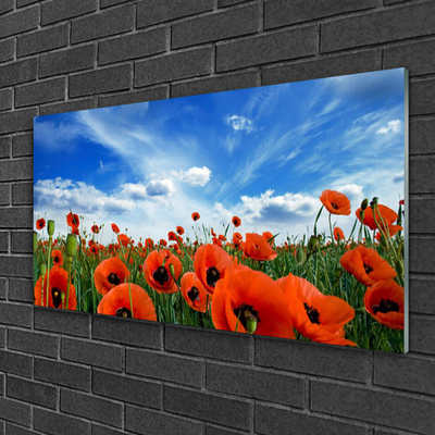 Quadro su vetro acrilico Fiori di papaveri di prato