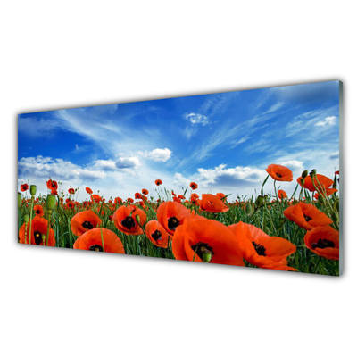 Quadro su vetro acrilico Fiori di papaveri di prato