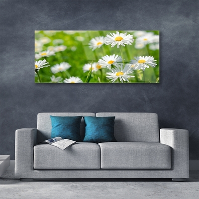 Quadro acrilico Pianta di fiori di margherita