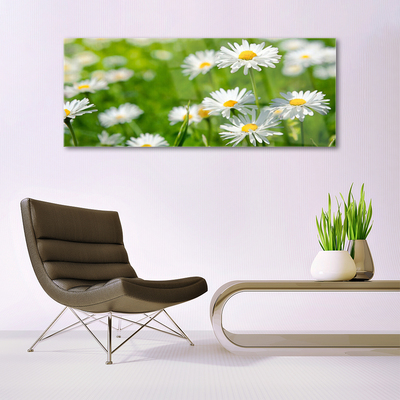 Quadro acrilico Pianta di fiori di margherita