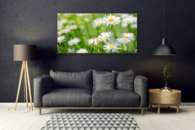 Quadro acrilico Pianta di fiori di margherita