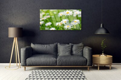 Quadro acrilico Pianta di fiori di margherita