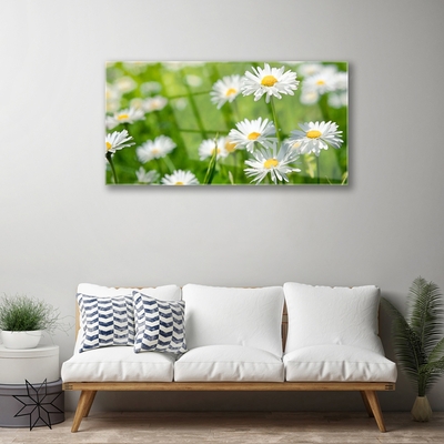 Quadro acrilico Pianta di fiori di margherita