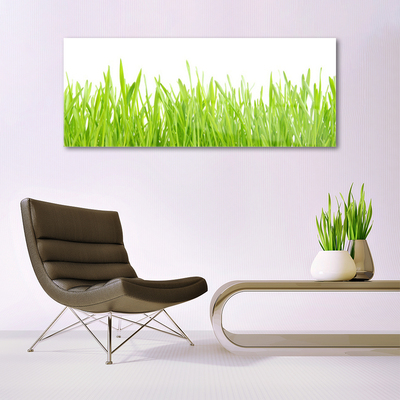 Quadro acrilico Erba Natura Pianta