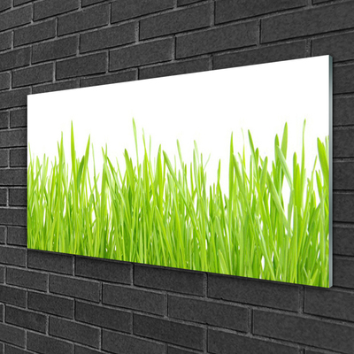 Quadro acrilico Erba Natura Pianta