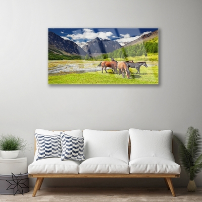 Quadro su vetro acrilico Montagne, alberi, cavalli, animali