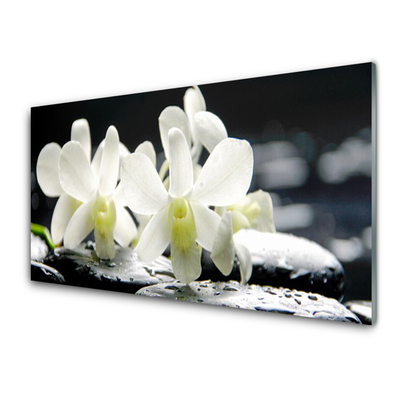 Quadro acrilico Pietre, fiori di orchidea