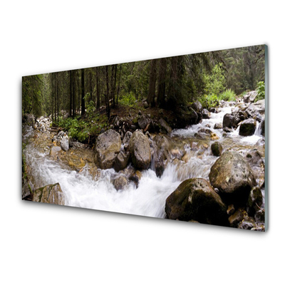 Quadro vetro acrilico Foresta, fiume, cascate