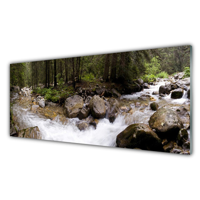 Quadro vetro acrilico Foresta, fiume, cascate