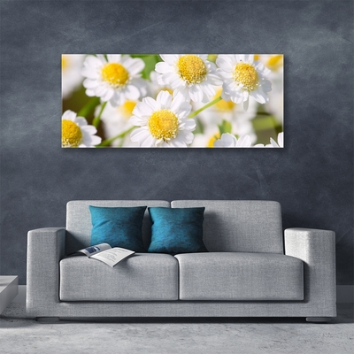 Quadro acrilico Fiori della margherita della natura