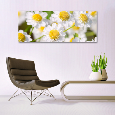 Quadro acrilico Fiori della margherita della natura