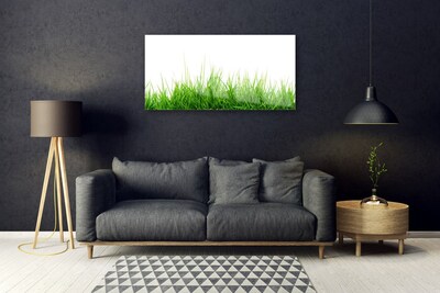 Quadro acrilico Erba Natura Pianta