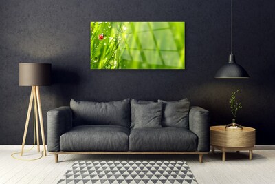 Quadro acrilico Erba della natura della coccinella