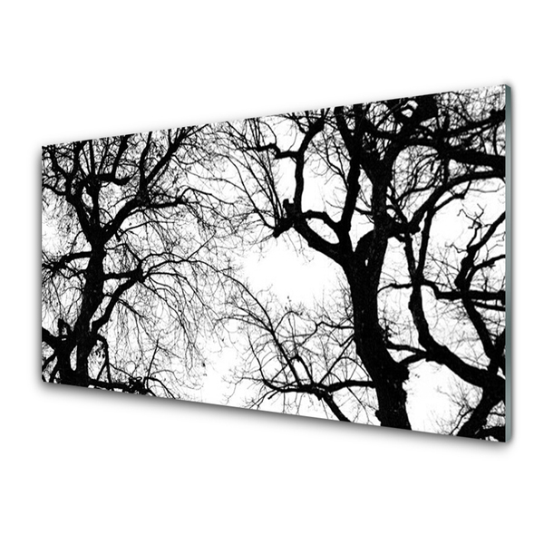 Quadro in vetro acrilico Alberi della natura in bianco e nero