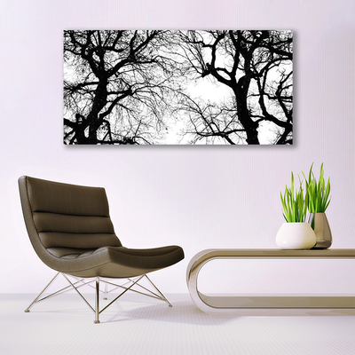 Quadro in vetro acrilico Alberi della natura in bianco e nero