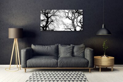 Quadro in vetro acrilico Alberi della natura in bianco e nero