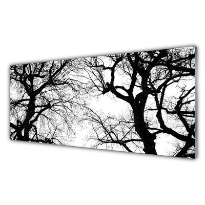 Quadro in vetro acrilico Alberi della natura in bianco e nero