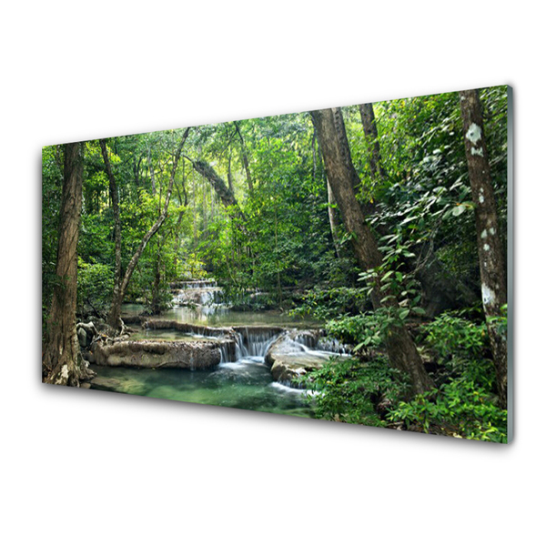 Quadro su vetro acrilico Foresta Foresta Natura Natura