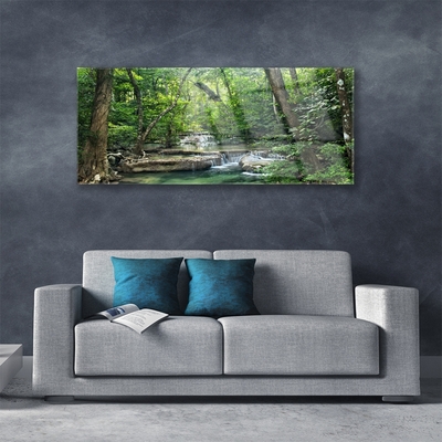 Quadro su vetro acrilico Foresta Foresta Natura Natura