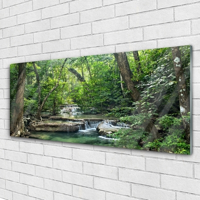 Quadro su vetro acrilico Foresta Foresta Natura Natura