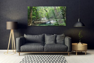 Quadro su vetro acrilico Foresta Foresta Natura Natura