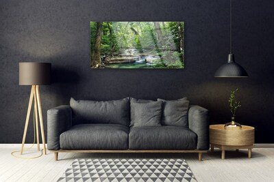 Quadro su vetro acrilico Foresta Foresta Natura Natura