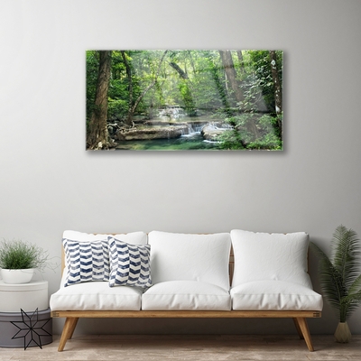 Quadro su vetro acrilico Foresta Foresta Natura Natura