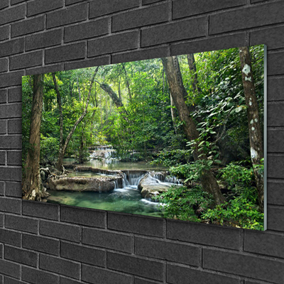 Quadro su vetro acrilico Foresta Foresta Natura Natura