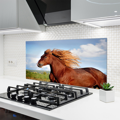 Pannello rivestimento parete cucina Animali da cavallo