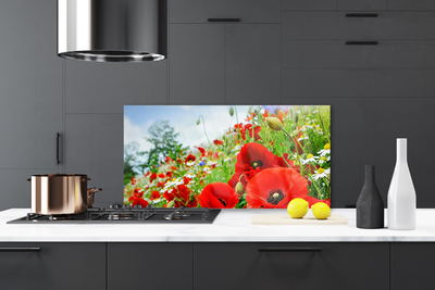 Pannello paraschizzi cucina Fiori della natura