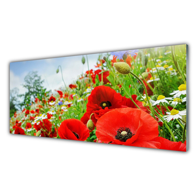 Pannello paraschizzi cucina Fiori della natura
