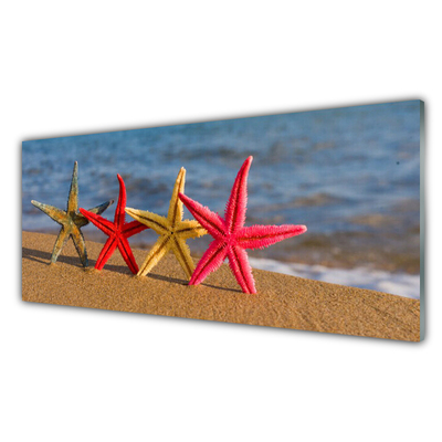 Pannello paraschizzi cucina Arte della stella marina della spiaggia