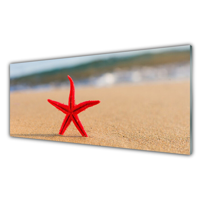 Pannello cucina paraschizzi Arte della stella marina della spiaggia