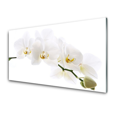 Pannello cucina paraschizzi Fiori di orchidea