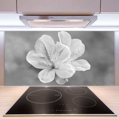 Pannello paraschizzi cucina I fiori della pianta