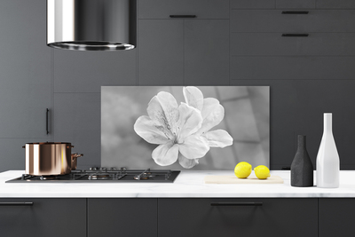 Pannello paraschizzi cucina I fiori della pianta