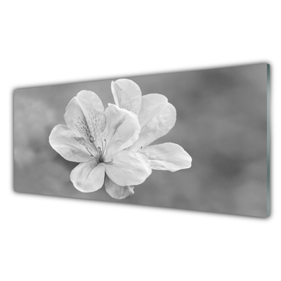 Pannello paraschizzi cucina I fiori della pianta