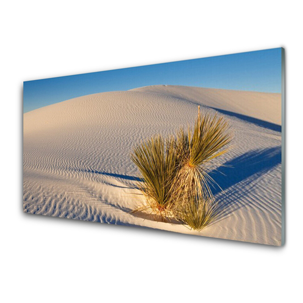 Rivestimento parete cucina Paesaggio di sabbia del deserto