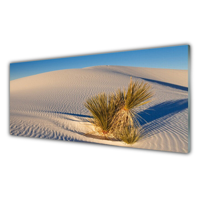 Rivestimento parete cucina Paesaggio di sabbia del deserto