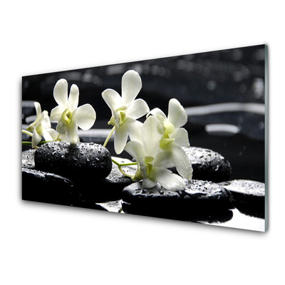 Pannello rivestimento parete cucina Pianta di pietre di orchidea
